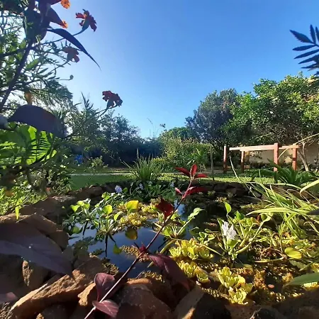 Villa Meva-2